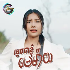 ម្តេចថាខ្ញុំមេម៉ាយ