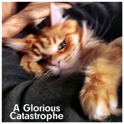 A Glorious Catastrophe