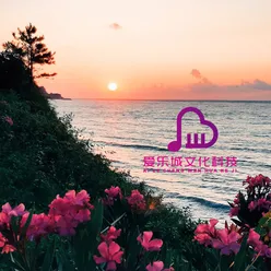 浮生若梦（阿尔法脑波音乐 海浪助眠）