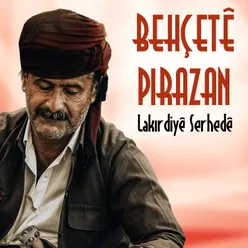 Çardehi