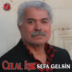 Sefa Gelsin