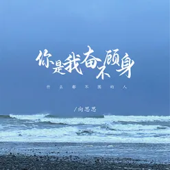 你是我奋不顾身什么都不图的人