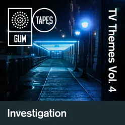 GTP261 Investigation Tv Theme, Vol. 4