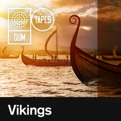 Viking Raid