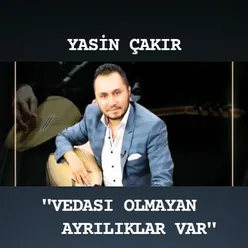 Vedası Olmayan Ayrılıklar Var