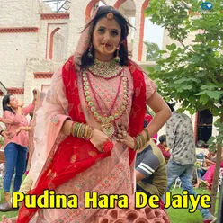 Pudina Hara De Jaiye