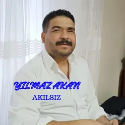 Akılsız