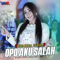 Opo Aku Salah