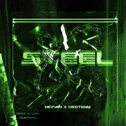 Steel