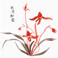 桃花扇影