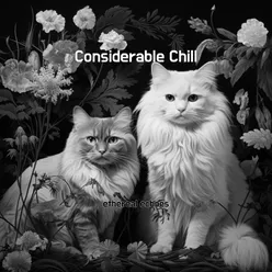 Considerable Chill