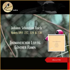 Johann Sebastian Bach: Motets BWV 227, 229 & 230