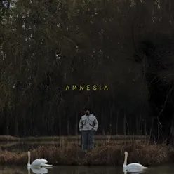 Amnesia