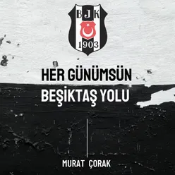 Beşiktaş Yolu