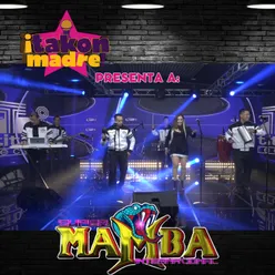 Takonmadre Presenta a Súper Mamba Internacional