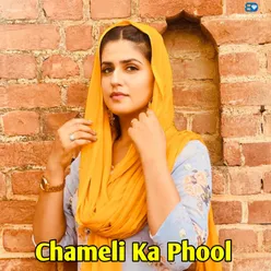 Chameli Ka Phool