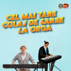 Muzica de Petrecere 2024 Colaj Sarbe Acordeon