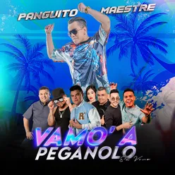 Vamo' A Peganolo