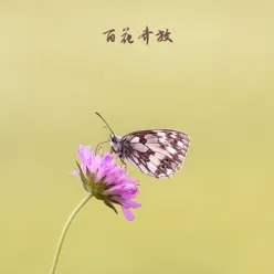 春暖花开