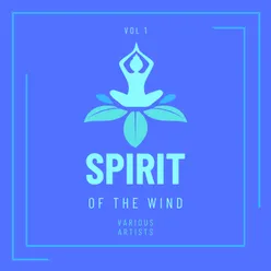 Spirit Of The Wind, Vol. 1