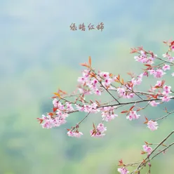 春暖花开