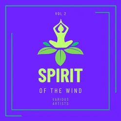 Spirit Of The Wind, Vol. 2