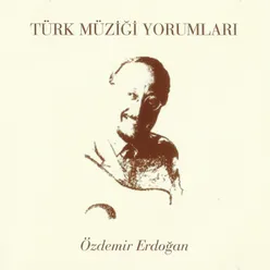 Türk Müziği Yorumları