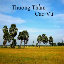 Tình Đã Đổi Thay