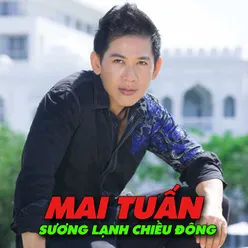 Tình Buồn Vu Quy