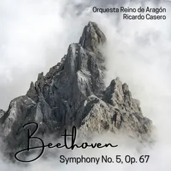 Symphony No. 5, Op. 67: III. Scherzo. Allegro - Trio