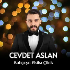 Bahçeye Ektim Çilek