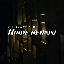 NINDE NENAPU