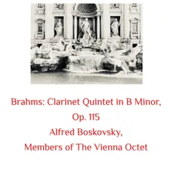 Clarinet Quintet in B Minor, Op. 115- III. Andantino - Presto non assai, ma con sentimento