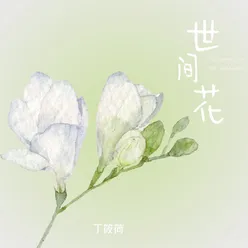 世间花