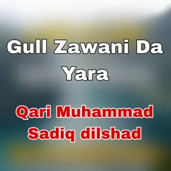 Gull Zawani Da Yara