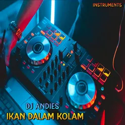 DJ Ikan Dalam Kolam - Inst