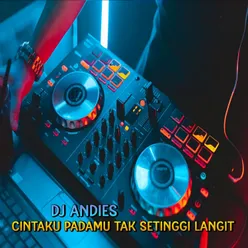 DJ Cinta Padamu Tak setinggi Langit