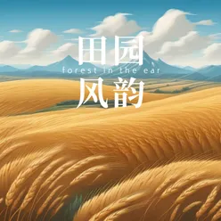 心灵栖息曲