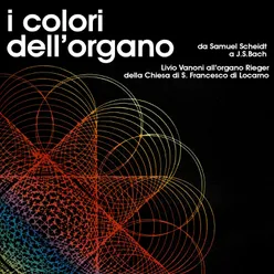 I colori dell'organo