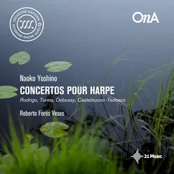 Concertino for Harp, Op. 93: II. Andante quasi recitativo