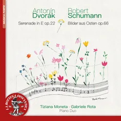 Serenade in E Major, Op. 22: No. 1, Moderato