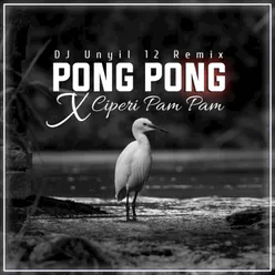 DJ Pong Pong x Ciperi Pam Pam Pam