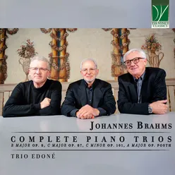 Piano Trio in C Minor, Op. 101: IV. Allegro molto