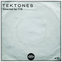 Tektones #13