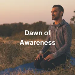 Dawn of Awareness