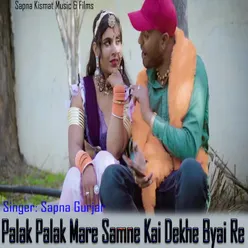 Palak Palak Mare Samne Kai Dekhe Byai Re