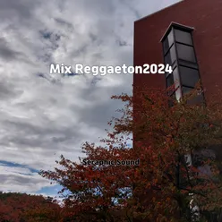 Mix Reggaeton 2024