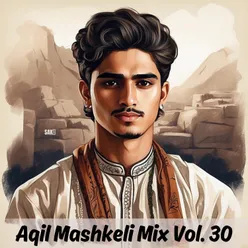 Aqil Mashkeli Mix, Vol. 30