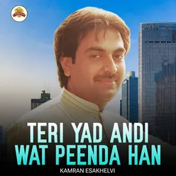 Teri Yad Andi Wat Peenda Han