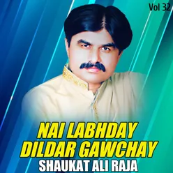 Nai Labhday Dildar Gawchay, Vol. 32